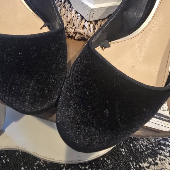 Jewel Badgley Mischka Velvet - Picture 8 of 17